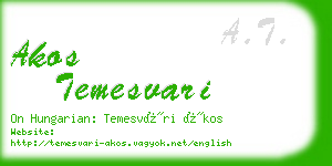 akos temesvari business card